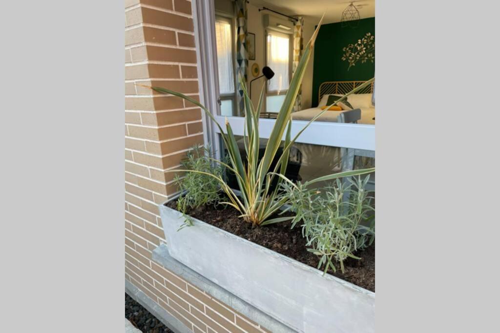 Minimes, Studio Cosy Tout Confort, Wifi, Parking Toulouse Exterior foto